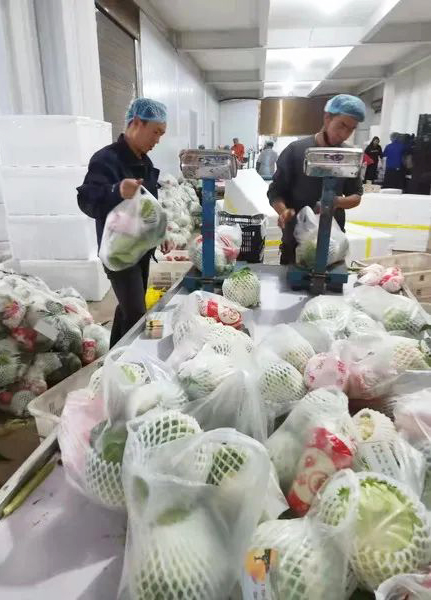 通海高原農產品有限公司按5公斤1袋包裝蔬菜發(fā)往上海。 通海高原農產品有限公司按5公斤1袋包裝蔬菜發(fā)往上海。.jpg