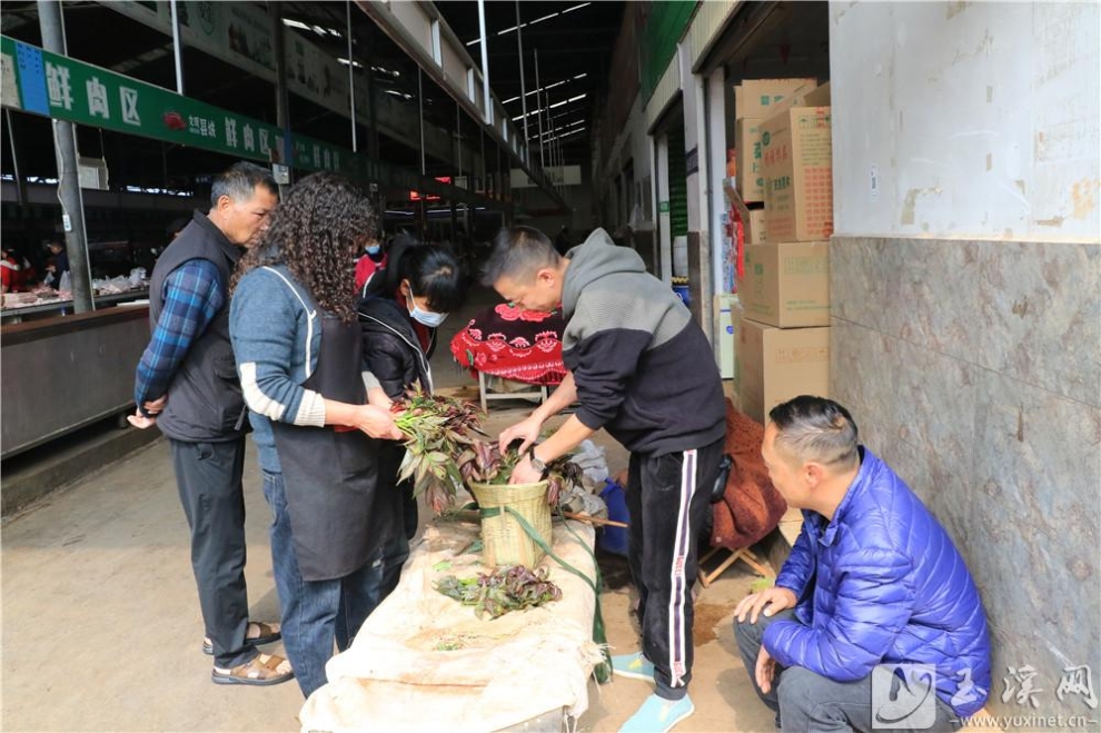香椿背到市場就被搶購一空