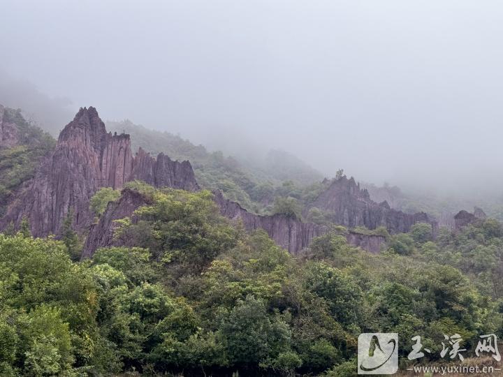 位于通海高大境內(nèi)的土林巍峨壯觀。