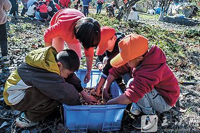 把花生清洗干凈。