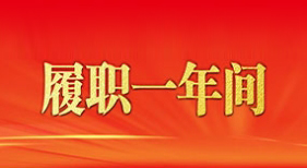履職一年間