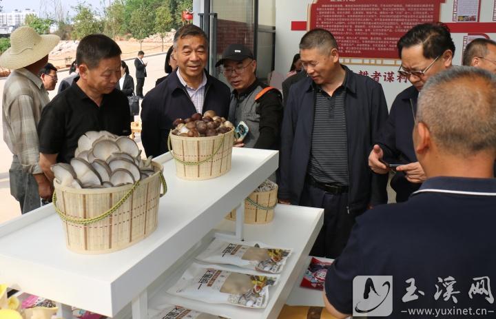 參觀企業(yè)產(chǎn)品展示區(qū)。